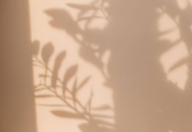 1 BHK Private Pool Studio photo 2