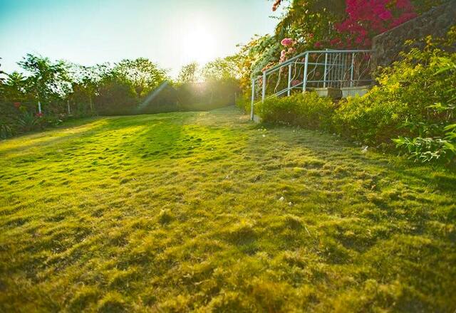 Luxury Beach 4 BHK Private Pool Villa photo 3
